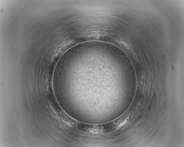 X0000059830504200510241424