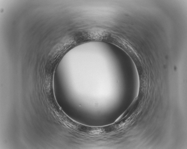 X0000059830505200510241424