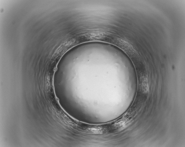 X0000059830506200510241424