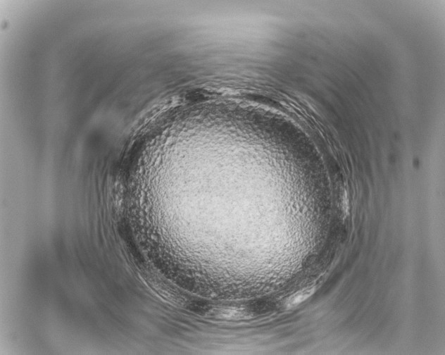 X0000059830507200510241424