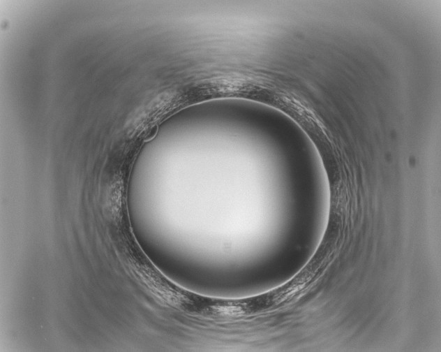 X0000059830509200510241424