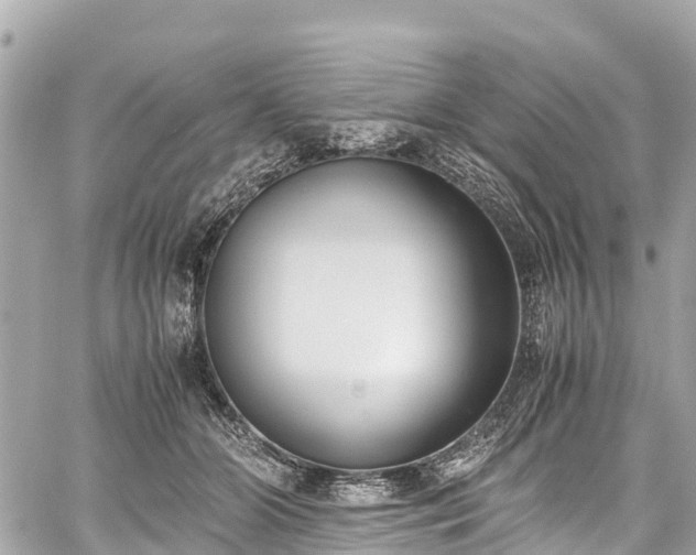 X0000059830510200510241424