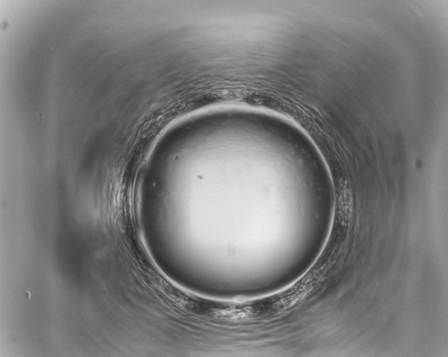 X0000059830511200510241424