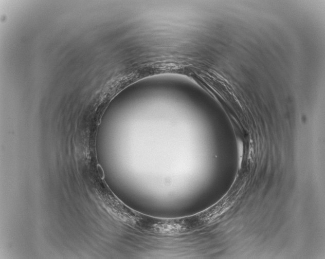 X0000059830512200510241424