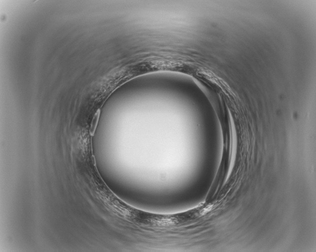 X0000059830513200510241424