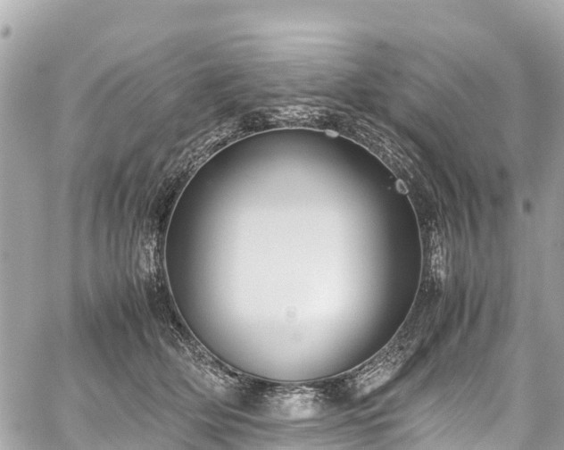 X0000059830514200510241424