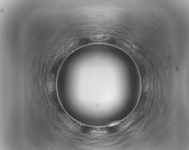 X0000059830515200510241424