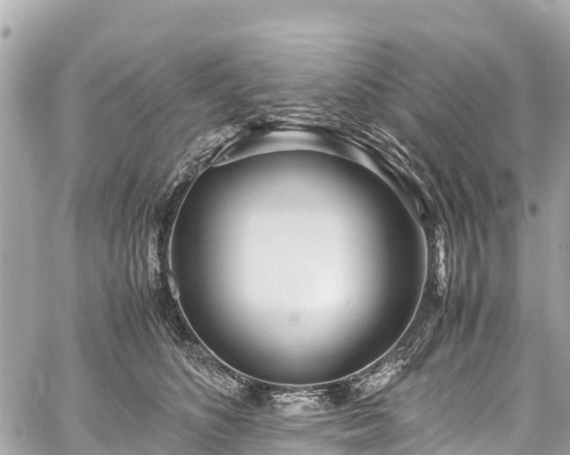 X0000059830516200510241424