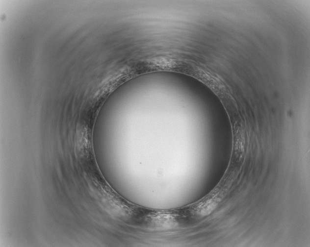 X0000059830518200510241424