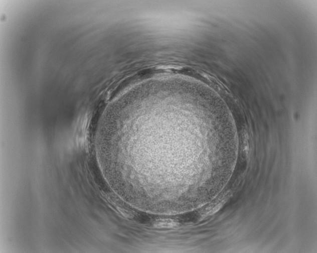 X0000059830519200510241424