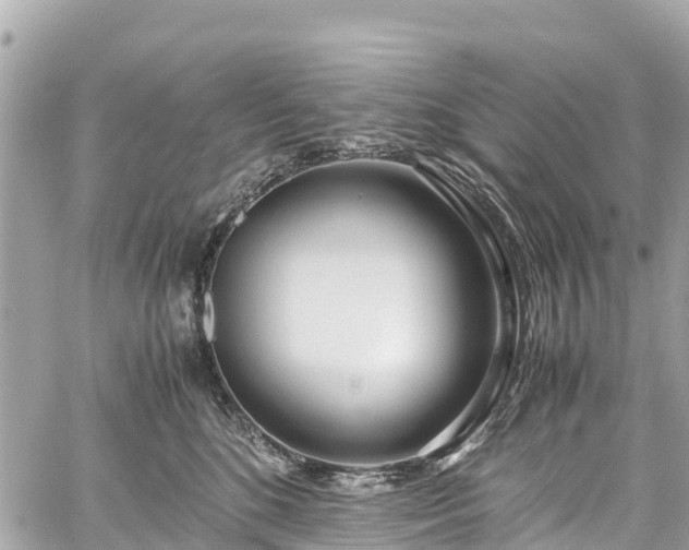 X0000059830520200510241424