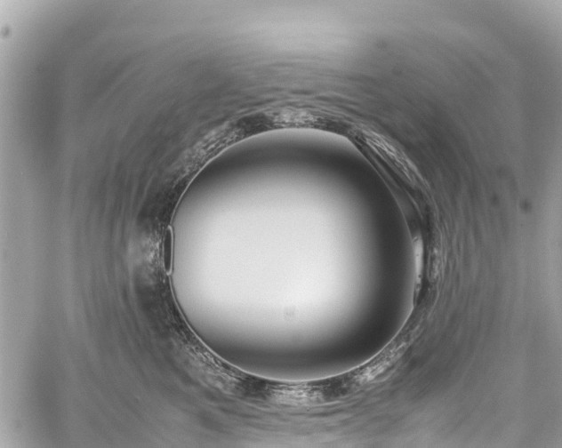 X0000059830521200510241424