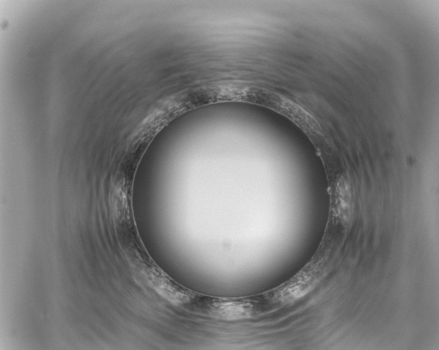 X0000059830522200510241424