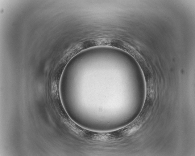 X0000059830523200510241424