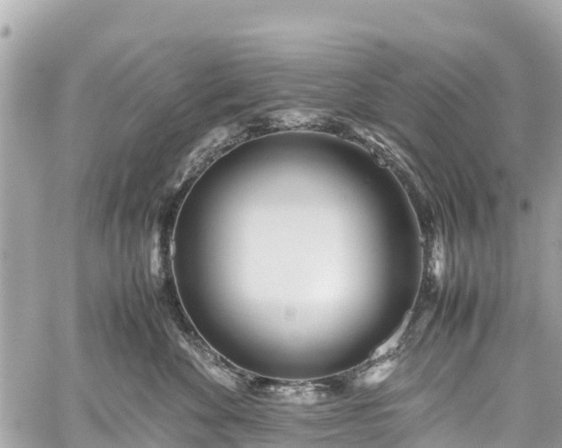 X0000059830524200510241424