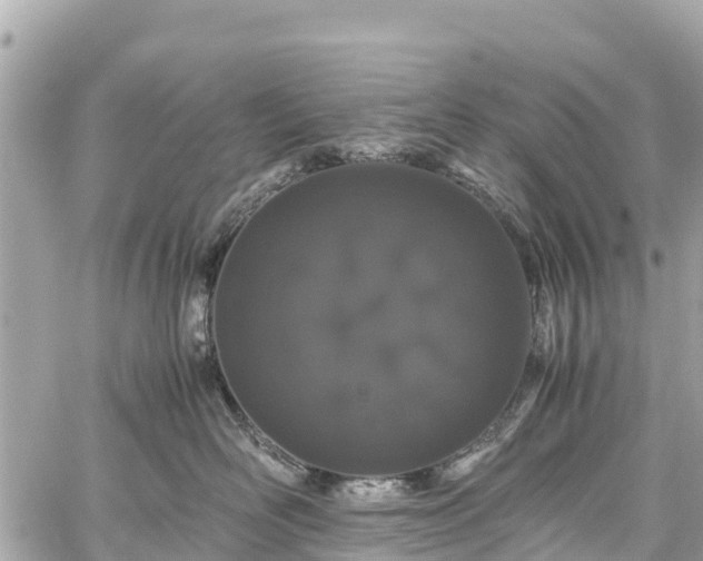 X0000059830526200510241424