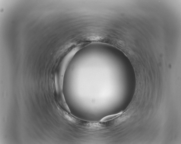 X0000059830528200510241424