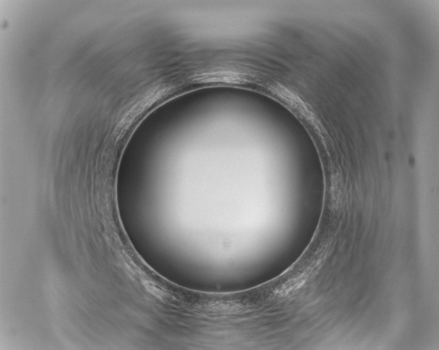 X0000059830529200510241423