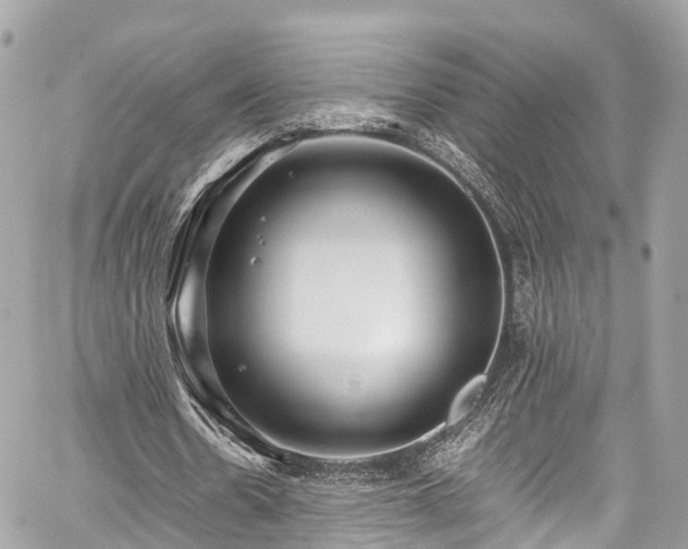 X0000059830530200510241423