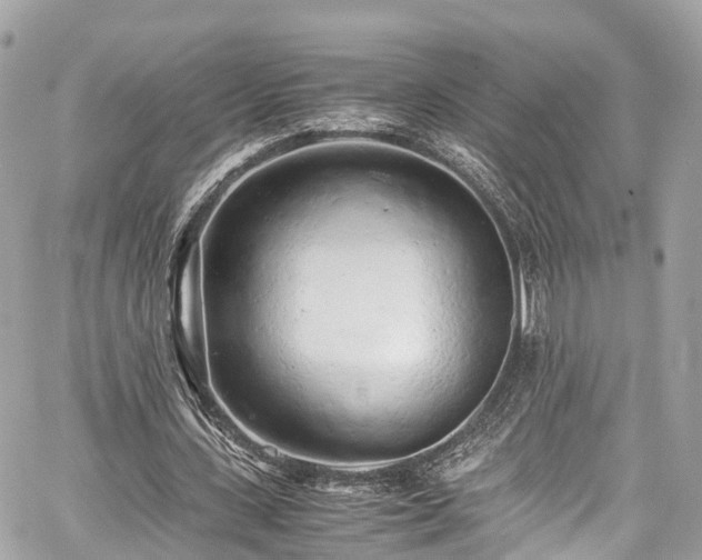 X0000059830531200510241423