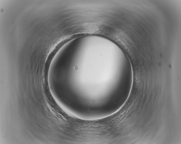 X0000059830532200510241423