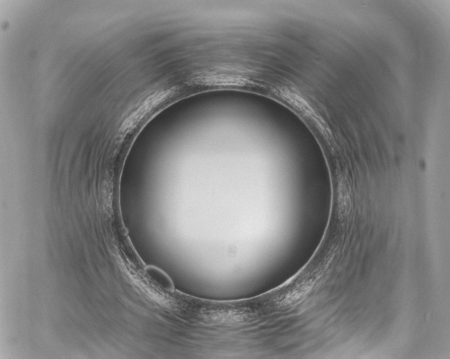 X0000059830533200510241423