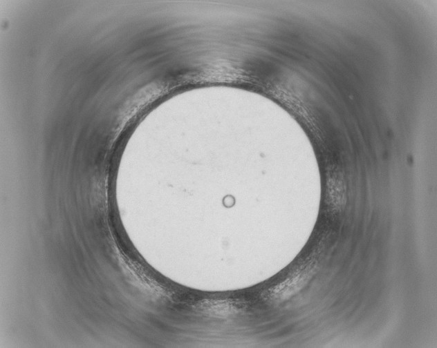 X0000059830534200510241423