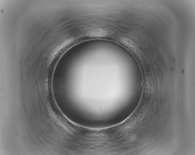 X0000059830535200510241423