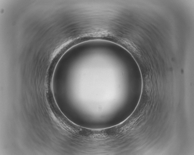 X0000059830536200510241423