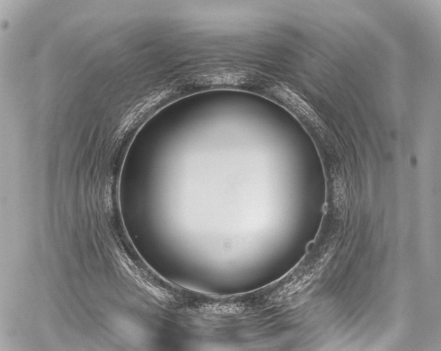 X0000059830537200510241423