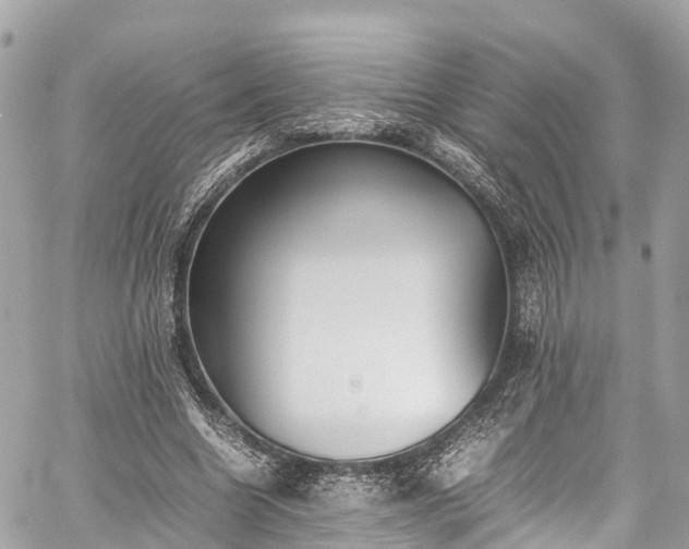 X0000059830538200510241423