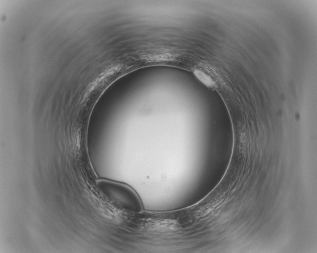 X0000059830539200510241423