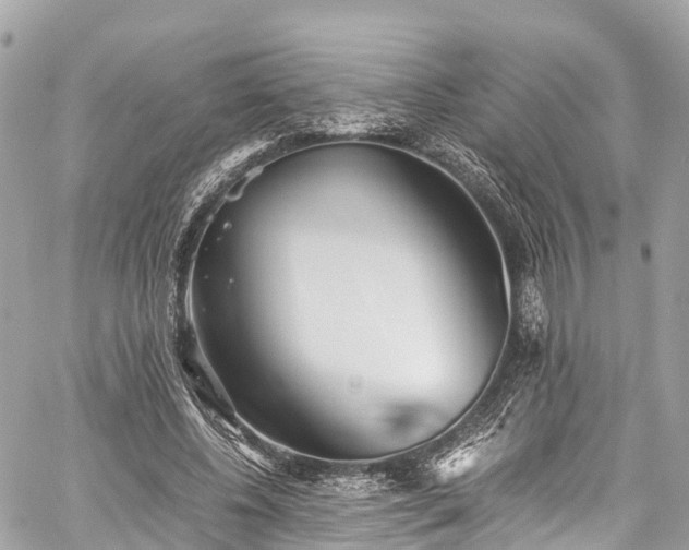 X0000059830540200510241423