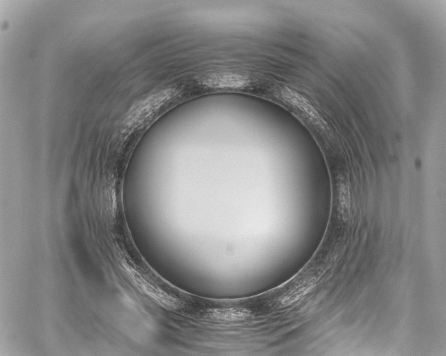 X0000059830541200510241423