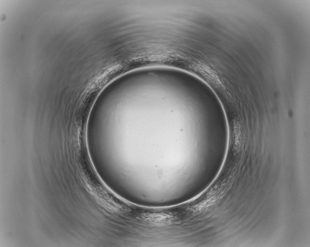 X0000059830542200510241423