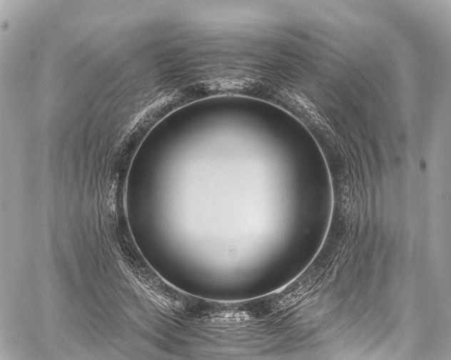 X0000059830543200510241423