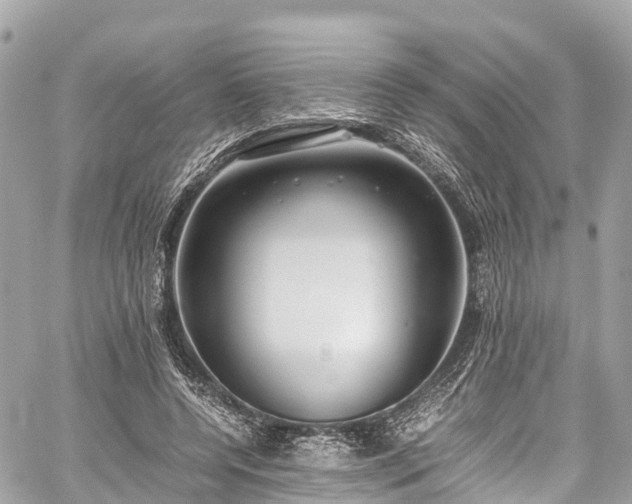 X0000059830544200510241423