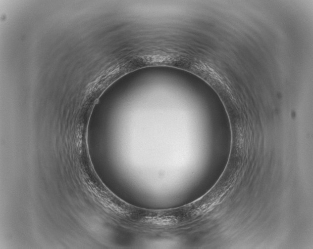 X0000059830545200510241423