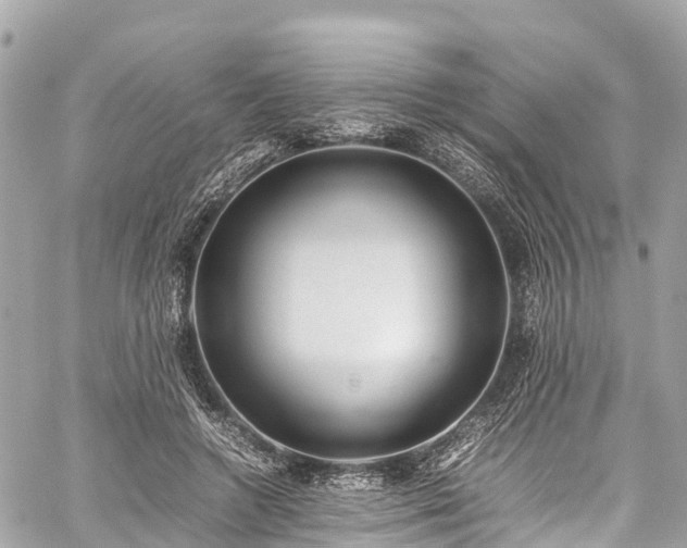 X0000059830546200510241423