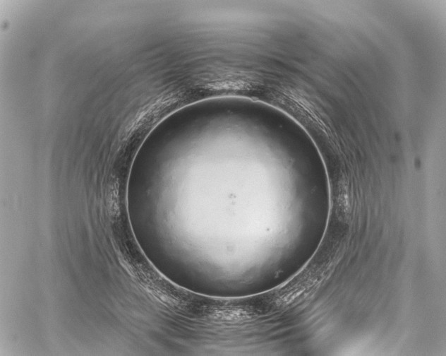 X0000059830547200510241424