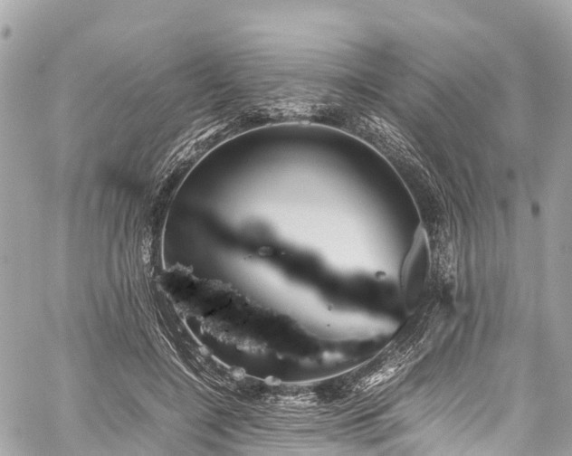 X0000059830548200510241424