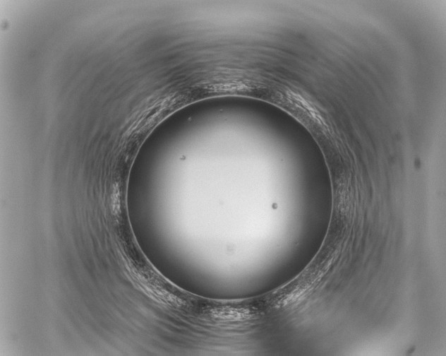 X0000059830549200510241424