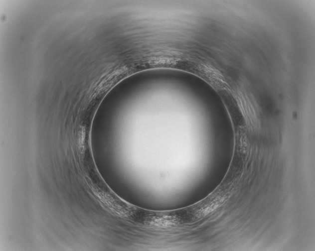 X0000059830550200510241424