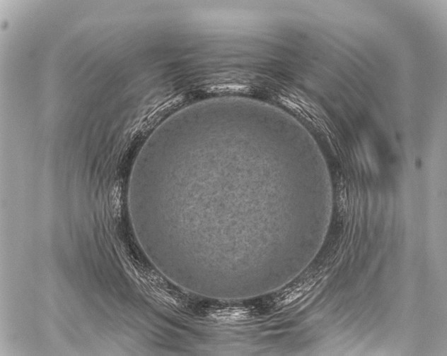 X0000059830551200510241424