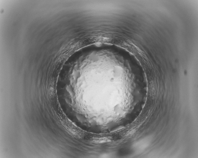 X0000059830553200510241424