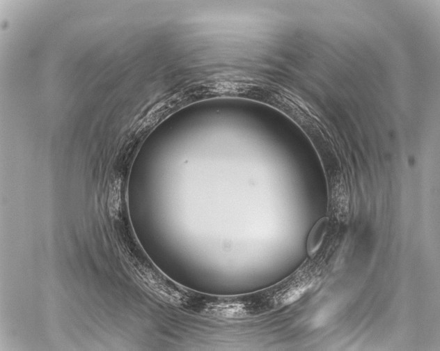 X0000059830554200510241424