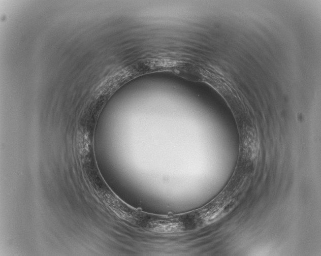 X0000059830555200510241424