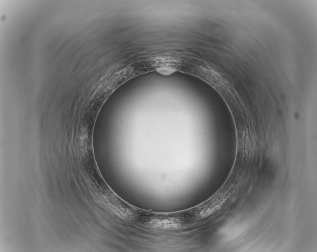 X0000059830557200510241424