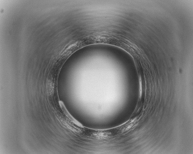 X0000059830558200510241424