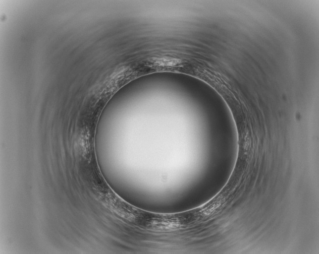 X0000059830559200510241424